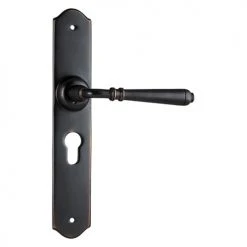 Handles & Hardware TRADCO REIMS LEVER ON LONG BACKPLATE