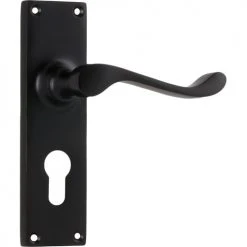 TRADCO VICTORIAN LEVER ON PLATE